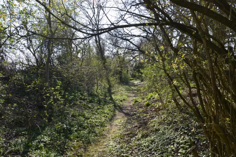 Meditatives Wandern