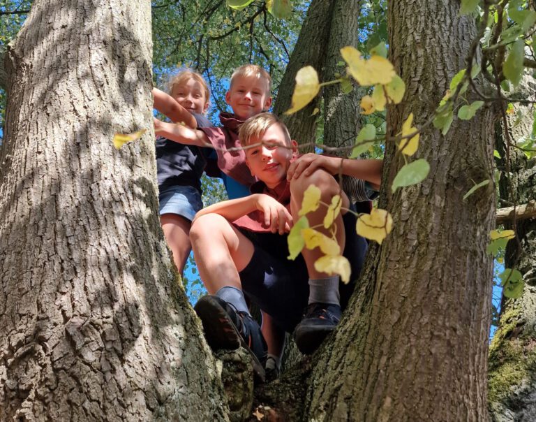 Waldwoche für Kinder
