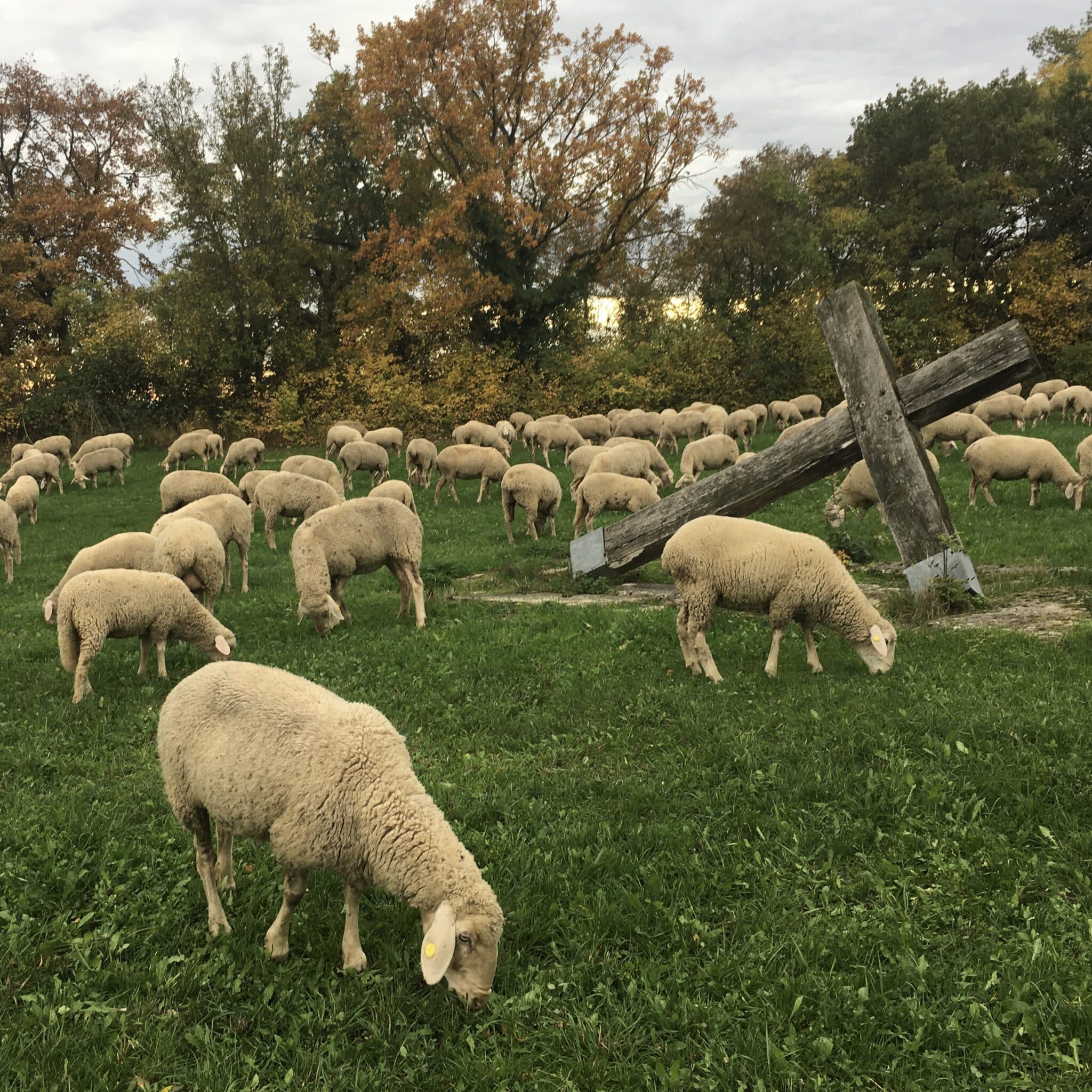 Seminar „Selber einen Psalm schreiben“ mit Schwester Miriam und Schwester Hege